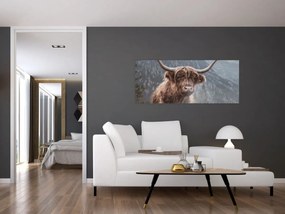 Tablou - Vaca Highlander (120x50 cm)