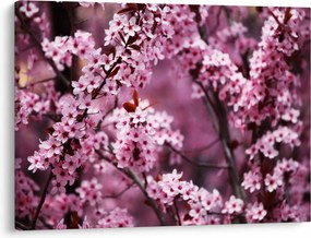Tablou - Sakura roz (70x50 cm)