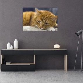 Tablou cu pisica (90x60 cm)