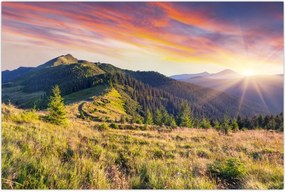 Tablou - Peisaj forestier (90x60 cm)