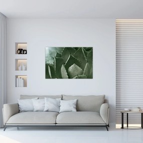 Tablou - Agave verde (90x60 cm)