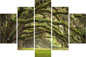 Tablou - Oaks Avenue, Charleston, Carolina de Sud, SUA (150x105 cm)