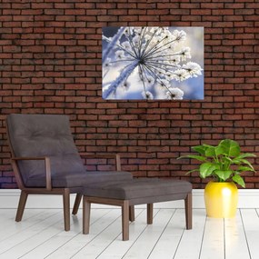 Tablou - Flori înghețate (70x50 cm)