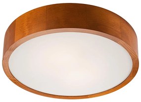 Plafonier 2xE27/60W/230V, iluminare plafon simplă și eficientă