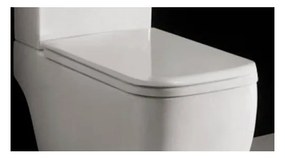Capac wc softclose Rak Ceramics Metropolitan