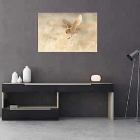 Tablou - Bufniță (90x60 cm)