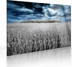 Tablou pe sticlă cu câmp (70x50 cm)