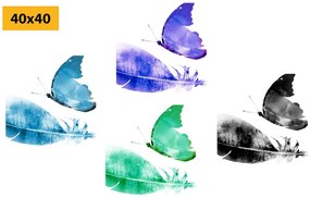 Set tablouri fluturi colorate