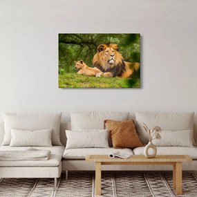 Tablou cu lei (90x60 cm)