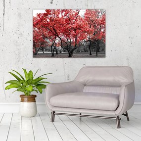Tablou - Copacii roșii, Central Park, New York (90x60 cm)