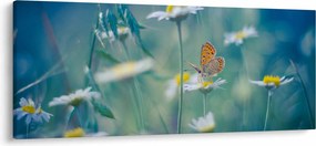 Tablou - Fluture pe margaretă (120x50 cm)