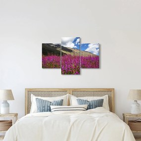 Tablou sceneriei cu lunca montană (90x60 cm)