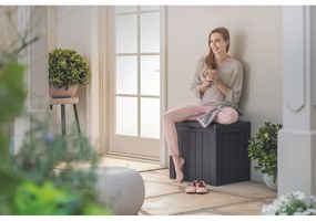 Keter Cutie de depozitare pentru grădină cu scaunMarvel plus antracit, 270 l, 116 x 57 x 45 cm