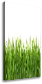 Imprimare tablou canvas Iarbă verde