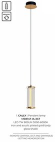 Pendul, Lustra suspendata LED CCT si telecomanda Cally