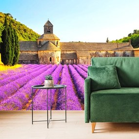 Fototapet  Provence cu câmpuri de lavandă