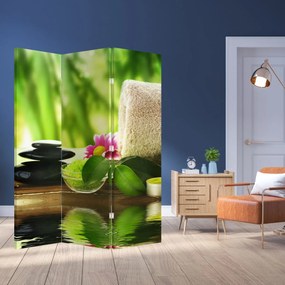 Paravan - Unelte pentru masaj (126x170 cm)