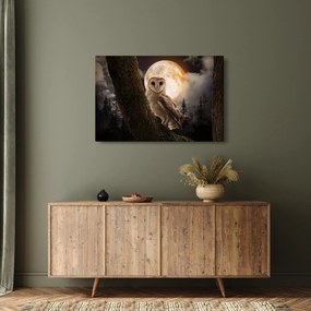 Tablou cu bufnița (90x60 cm)