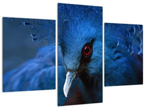 Tablou - Porumbel încoronat (90x60 cm)