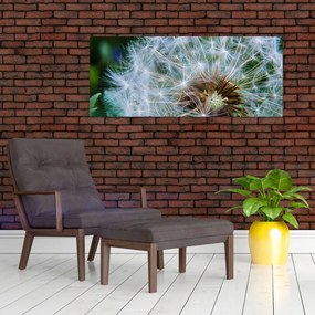 Tabloul cu păpădie desflorit (120x50 cm)