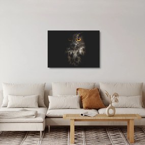 Tablou pe sticlă cu bufnița (70x50 cm)
