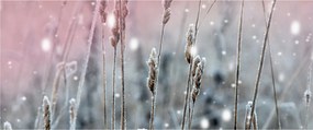 Tablou - Moment (120x50 cm)