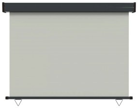 Copertina laterala de balcon, gri, 117x250 cm Gri, 117 x 250 cm