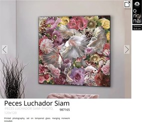 Tablou de perete decorativ Peces Luchador Siam, 120x120cm