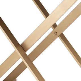 Masuta laterala plianta su tava detasabila Monarch, alama