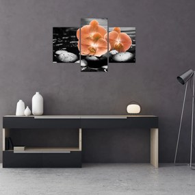 Tablou - Orhidee portocalii (90x60 cm)