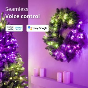 Twinkly GD20P4425P00 - Ghirlandă LED RGB reglabilă 50xLED, pr. 60 cm, Wi-Fi