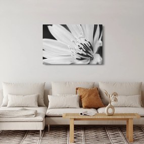 Tablou - Floare albă și neagră (90x60 cm)