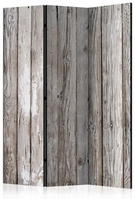 Paravan - Scandinavian Wood [Room Dividers]