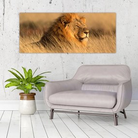 Tablou - Parcul Național Etosha (120x50 cm)