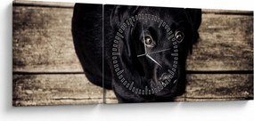Tablou cu cățeluș negru (cu ceas) (90x30 cm)