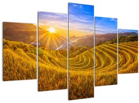Tablou - Terasele de orez din Vietnam (150x105 cm)