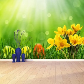 Fototapet Crocuses de Paști