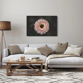 Tablou cu floare portocalie (90x60 cm)