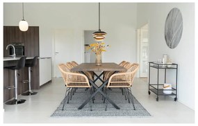 Set 2 scaune de grădină din ratan artificial House Nordic Trieste