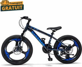 Bicicleta Caraiman, roti 20 inch, cadru otel, frane pe disc, cameleon