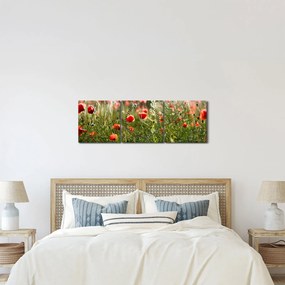 Tablou cu maci (cu ceas) (90x30 cm)
