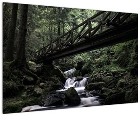 Tablou din pădurea neagră (90x60 cm)