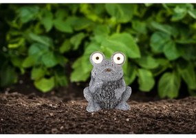 Corp de iluminat LED solar SOLAR 2xLED/0,06W/3V IP44 broască Globo 33203