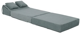 Fotoliu extensibil Plantearan (mentol) . 1116442