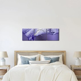 Tablou - Petală cu picături (cu ceas) (90x30 cm)