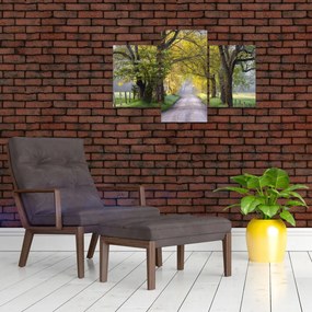 Tablou - Smoky Mountains, Gatlinburg, SUA (90x60 cm)