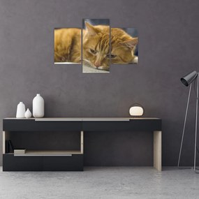 Tabloul pisicii (90x60 cm)