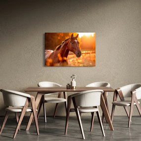 Tablou - Cal în apus de soare (90x60 cm)