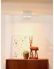 Lucide 09101/02/31 - Lampa spot BODI 2xGU10/50W/230V