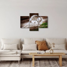 Tablou - Îngeraș dormind (90x60 cm)